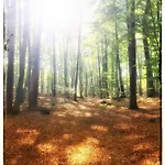 Penzion Zur Ostsee