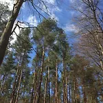 Penzion Zur Ostsee 3*
