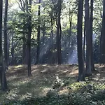 Zur Ostsee 3* Kölpinsee