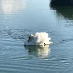 Zur Ostsee Penzion Kolpinsee