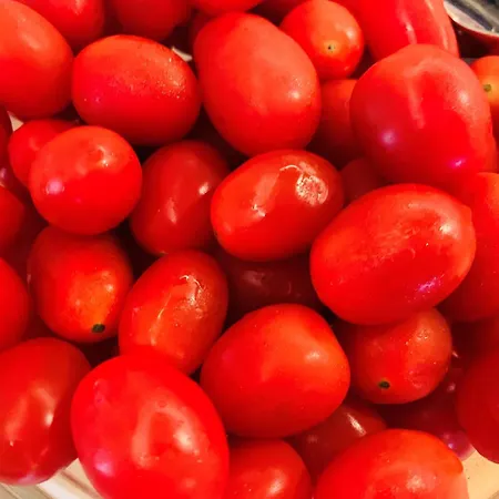 Zur Ostsee 게스트하우스 쾰핀제