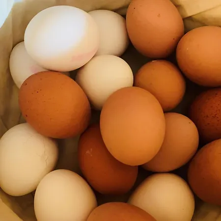 Maison d'hôtes Zur Ostsee 3*