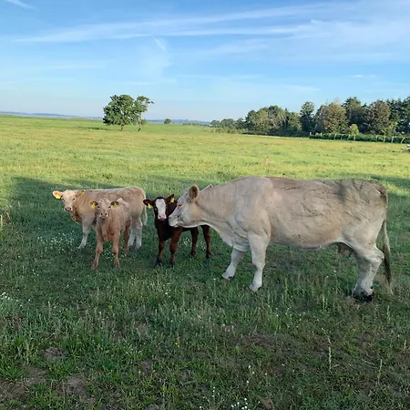 게스트하우스 Zur Ostsee 3*