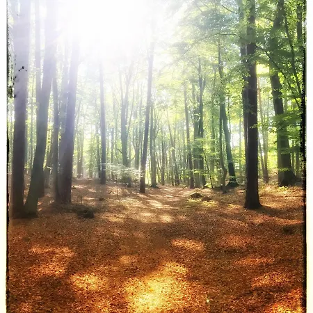 게스트하우스 Zur Ostsee