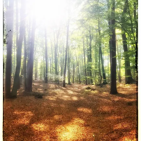 Gasthof Zur Ostsee