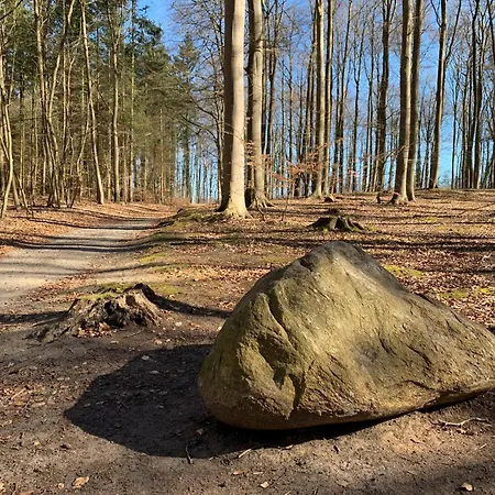 Zur Ostsee Maison d'hôtes Kolpinsee