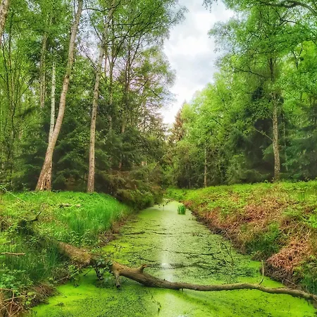 Zur Ostsee Maison d'hôtes 3*