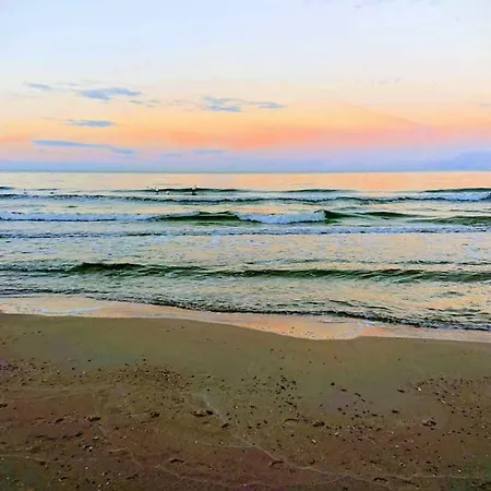 Guest house Pension Zur Ostsee