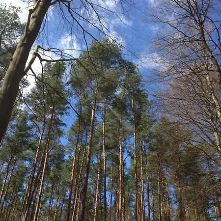 게스트하우스 Zur Ostsee 3*