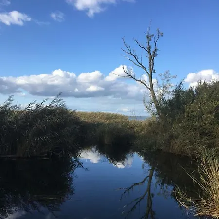 게스트하우스 Zur Ostsee 3*