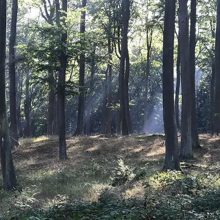 Zur Ostsee 3* Kolpinsee