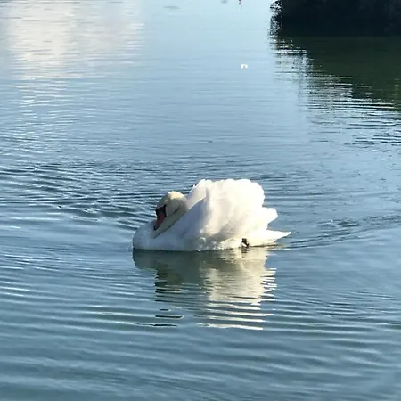 Zur Ostsee 게스트하우스 쾰핀제
